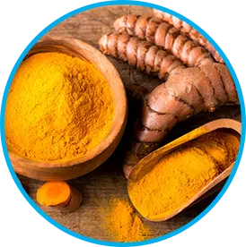 Himalayan turmeric curcumin ingredient in the Venus Factor formula